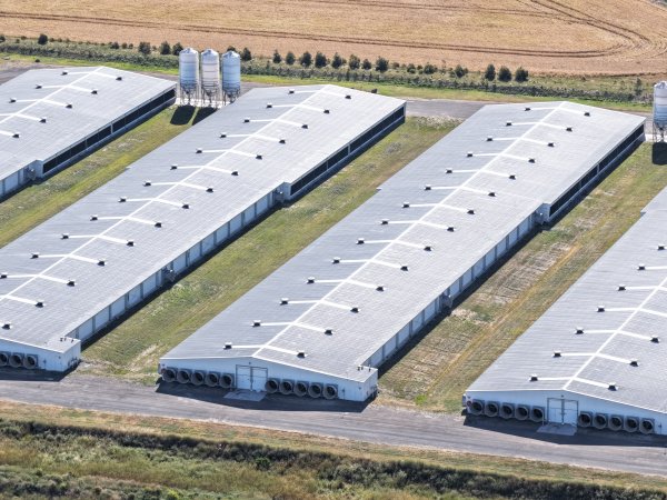 Drone Flyover – Dec 2025