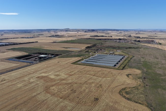 Drone Flyover – Dec 2025