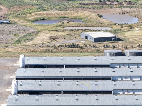 Drone Flyover – Dec 2025