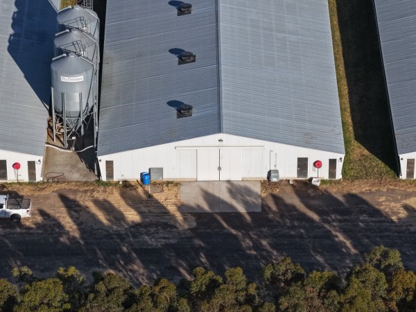 Drone Flyover – Dec 2025