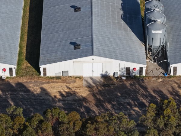 Drone Flyover – Dec 2025