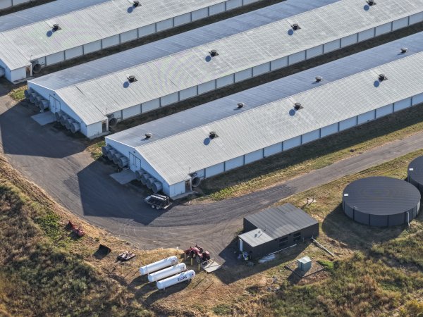 Drone Flyover – Dec 2025