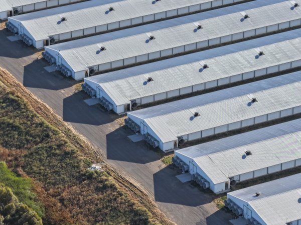 Drone Flyover – Dec 2025