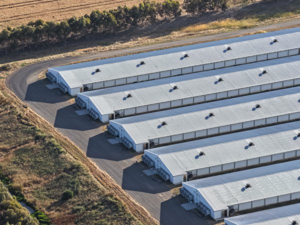 Drone Flyover – Dec 2025