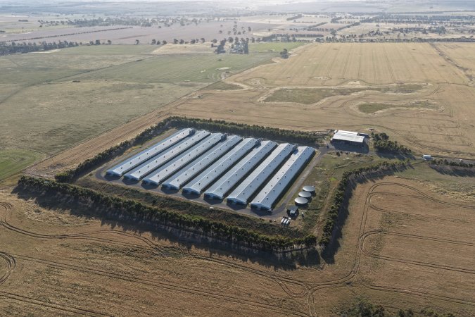 Drone Flyover – Dec 2025