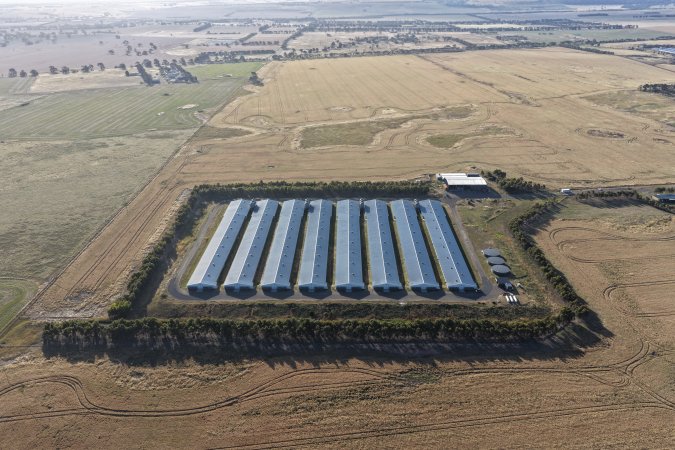 Drone Flyover – Dec 2025