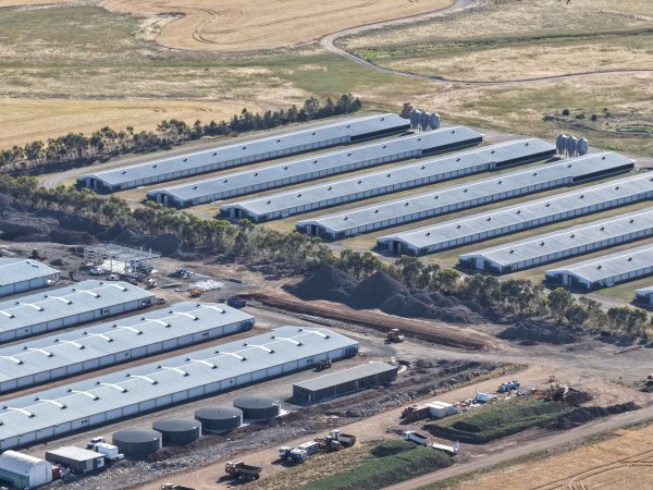 Drone Flyover – Dec 2025