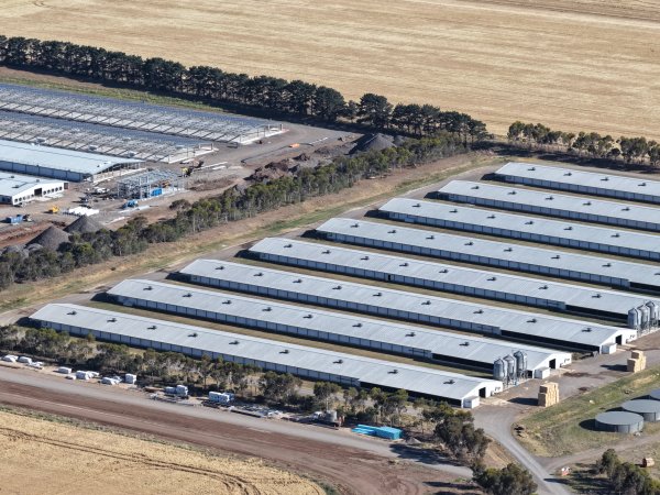 Drone Flyover – Dec 2025