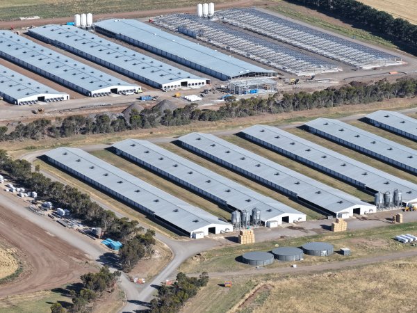 Drone Flyover – Dec 2025