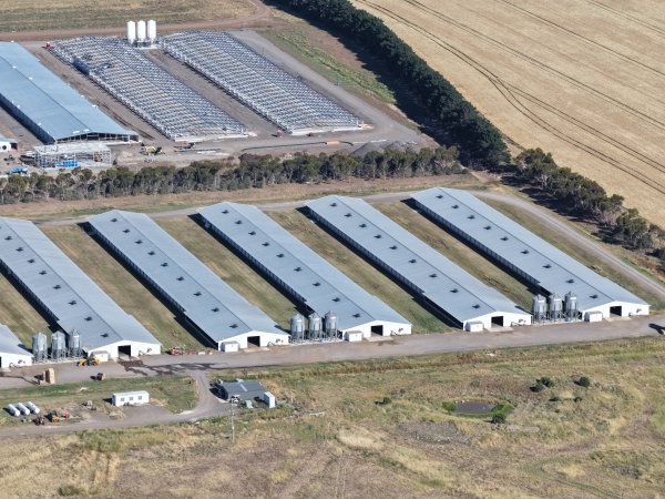 Drone Flyover – Dec 2025