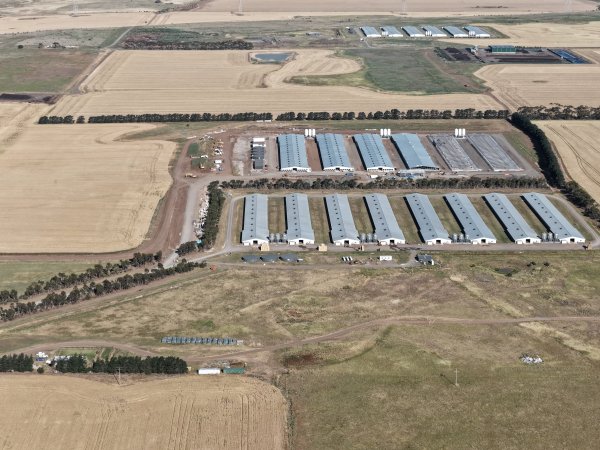 Drone Flyover – Dec 2025