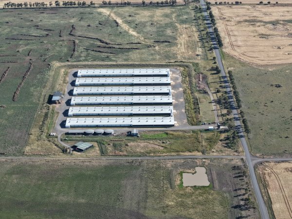 Drone Flyover – Dec 2025