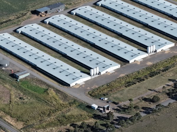 Drone Flyover – Dec 2025