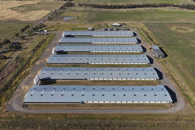 Drone Flyover – Dec 2025