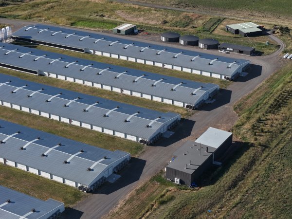 Drone Flyover – Dec 2025