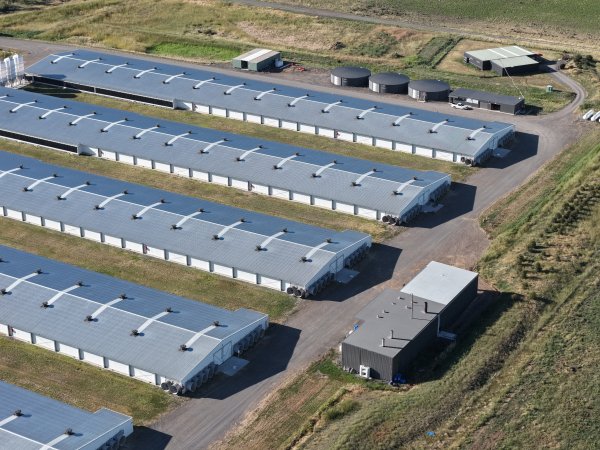 Drone Flyover – Dec 2025