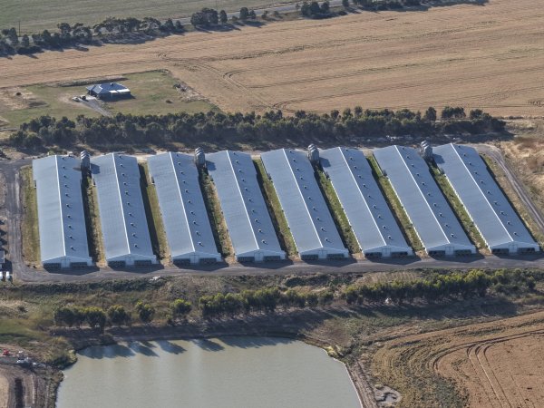 Drone Flyover – Dec 2025