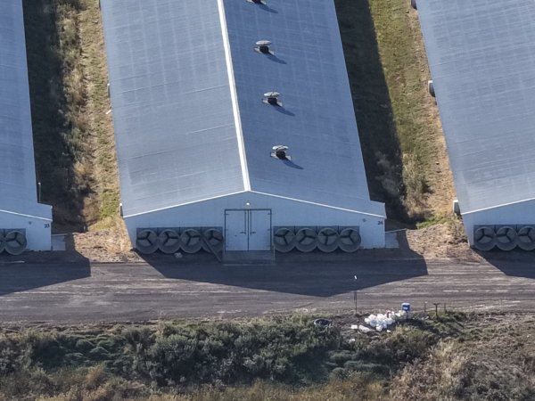 Drone Flyover – Dec 2025