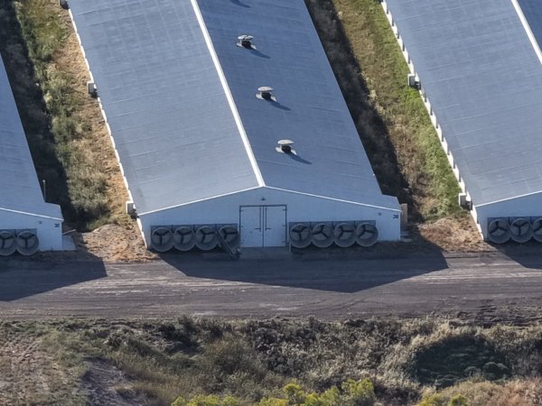 Drone Flyover – Dec 2025