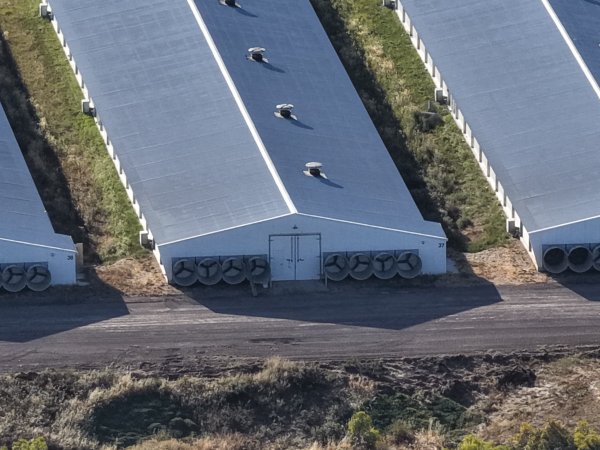 Drone Flyover – Dec 2025