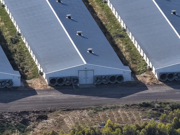 Drone Flyover – Dec 2025