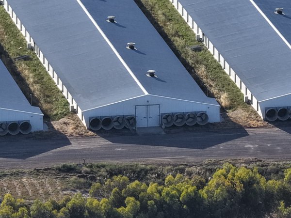 Drone Flyover – Dec 2025