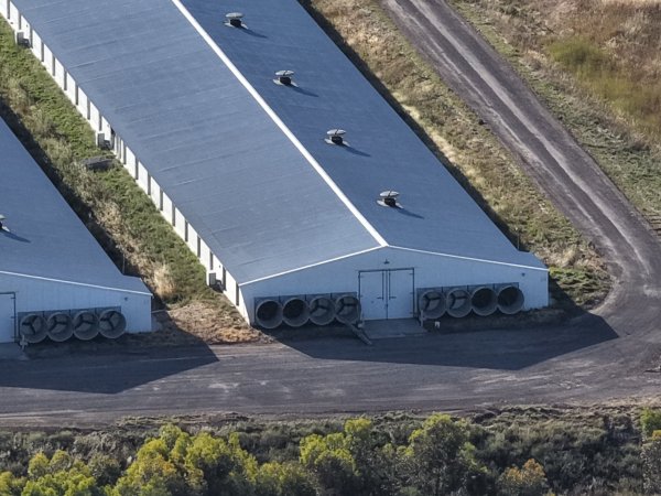 Drone Flyover – Dec 2025