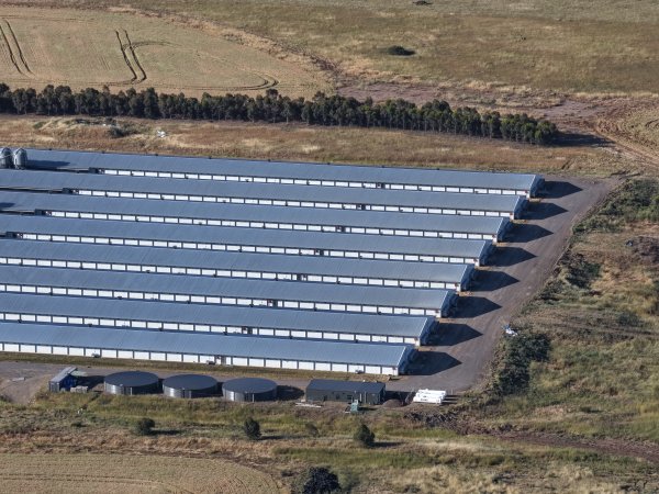 Drone Flyover – Dec 2025