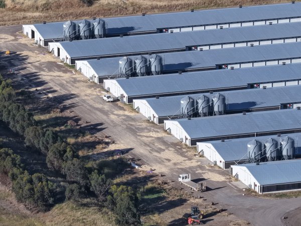 Drone Flyover – Dec 2025