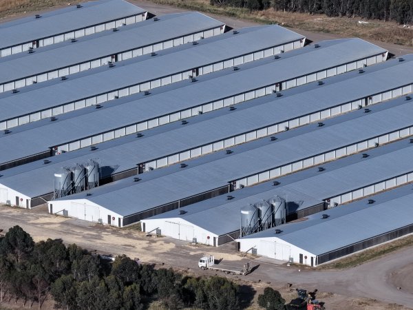 Drone Flyover – Dec 2025