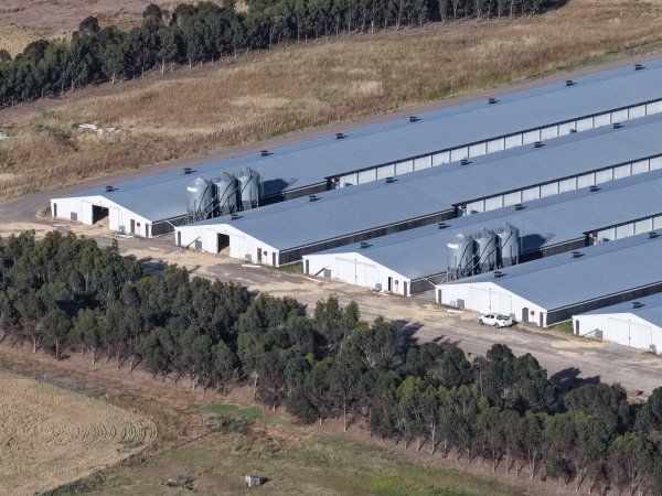 Drone Flyover – Dec 2025