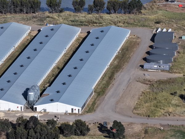 Drone Flyover – Dec 2025