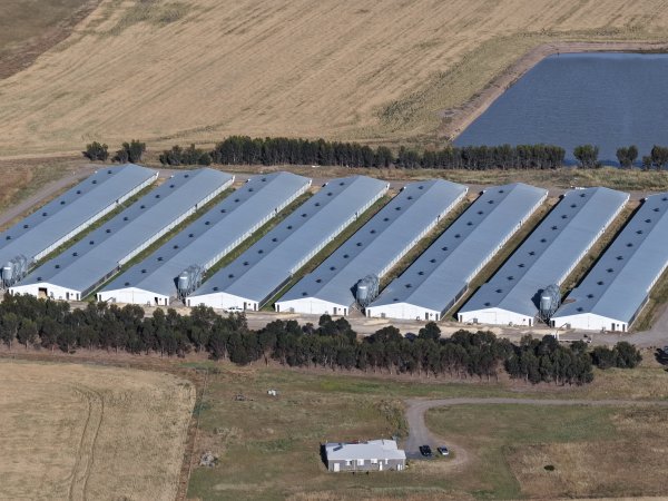 Drone Flyover – Dec 2025