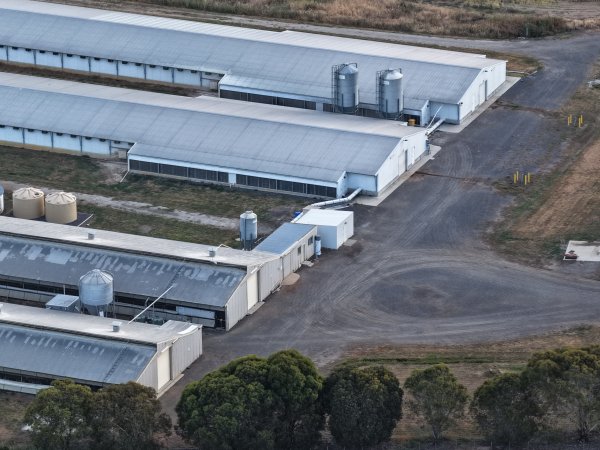 Drone Flyover – Dec 2025