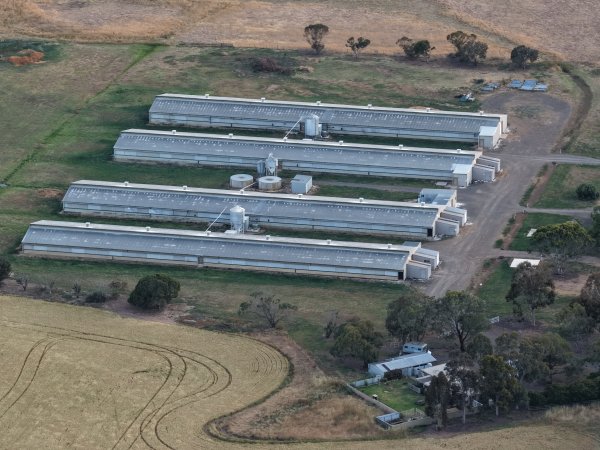 Drone Flyover – Dec 2025