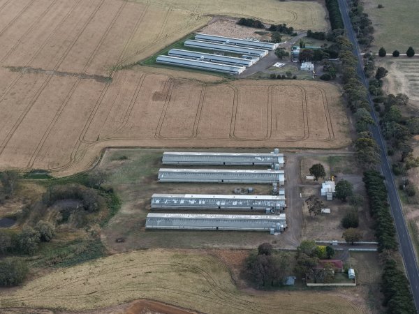 Drone Flyover – Dec 2025