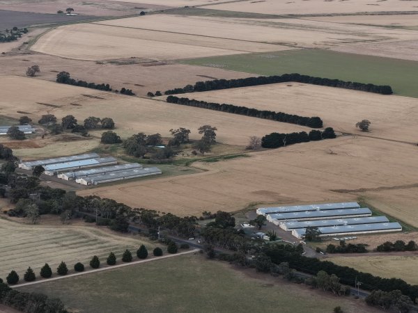 Drone Flyover – Dec 2025