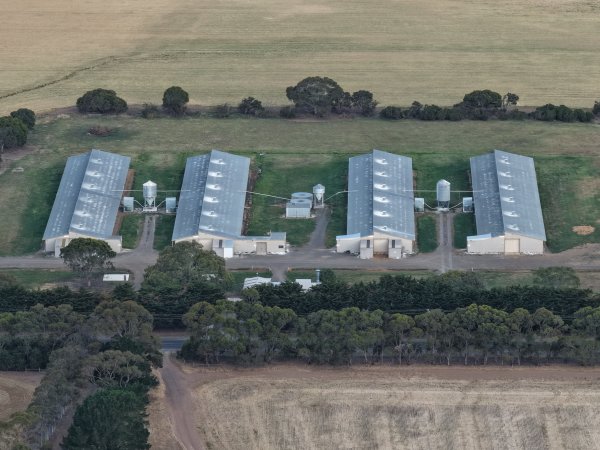 Drone Flyover – Dec 2025