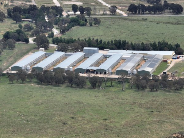 Drone flyover of egg farm