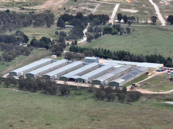 Drone flyover of egg farm