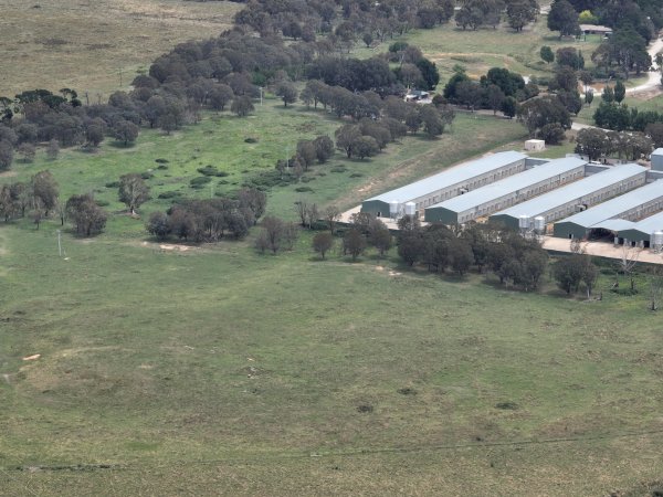 Drone flyover of egg farm