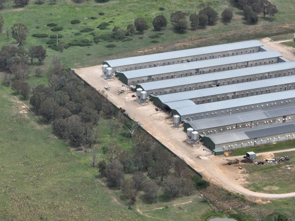 Drone flyover of egg farm