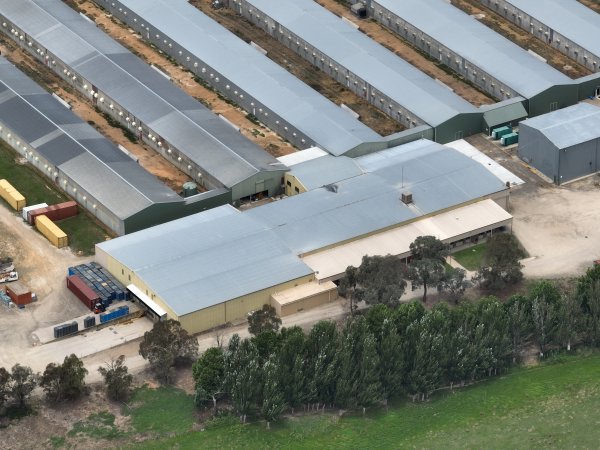 Drone flyover of egg farm