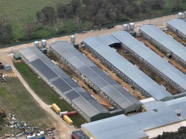 Drone flyover of egg farm