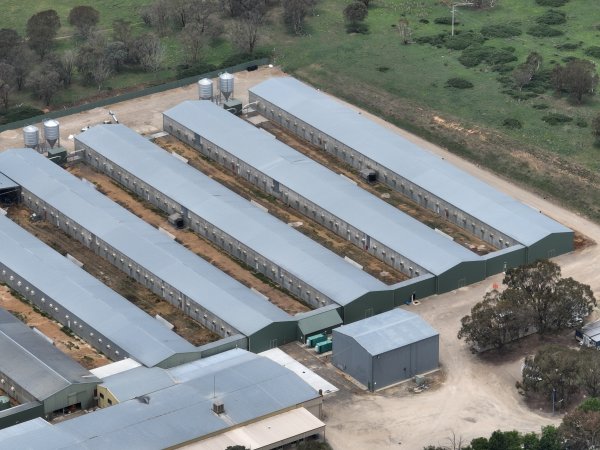 Drone flyover of egg farm