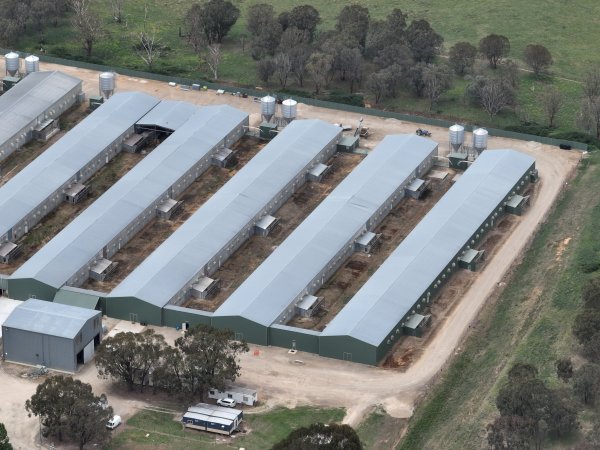 Drone flyover of egg farm