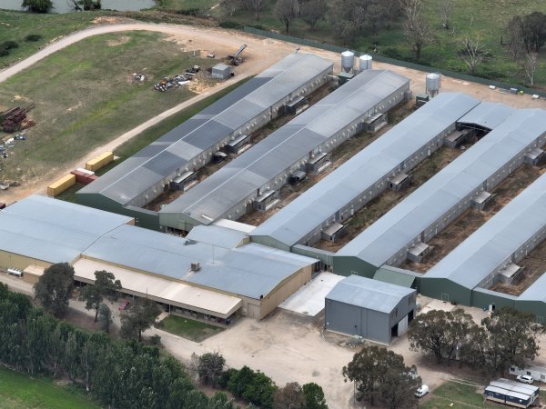 Drone flyover of egg farm