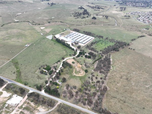 Drone flyover of egg farm