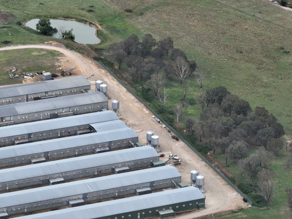 Drone flyover of egg farm