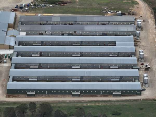 Drone flyover of egg farm